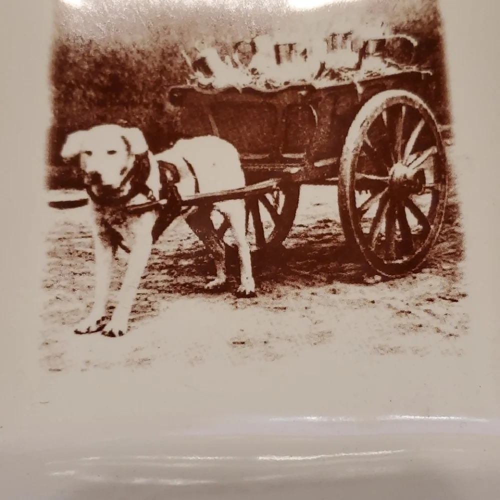 O.R.E. Square Dog Bowl